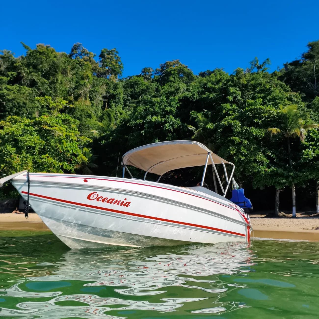 Proa da Lancha Oceania junto a uma praia de areia clara cercada de mata