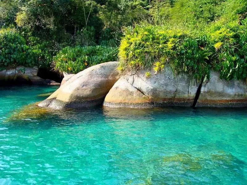 Passeio Roteiro Sul com a Lancha Oceania em Paraty